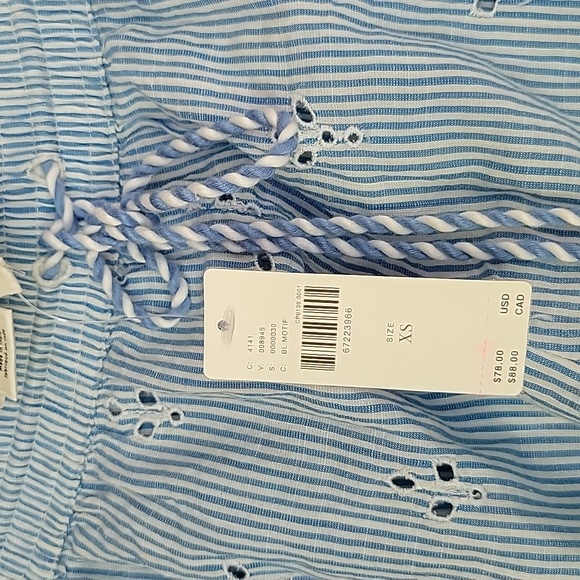 Anthropologie Blue and White Striped Shorts - Picture 3 of 5